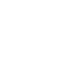 Logo for Roni Kormis's site